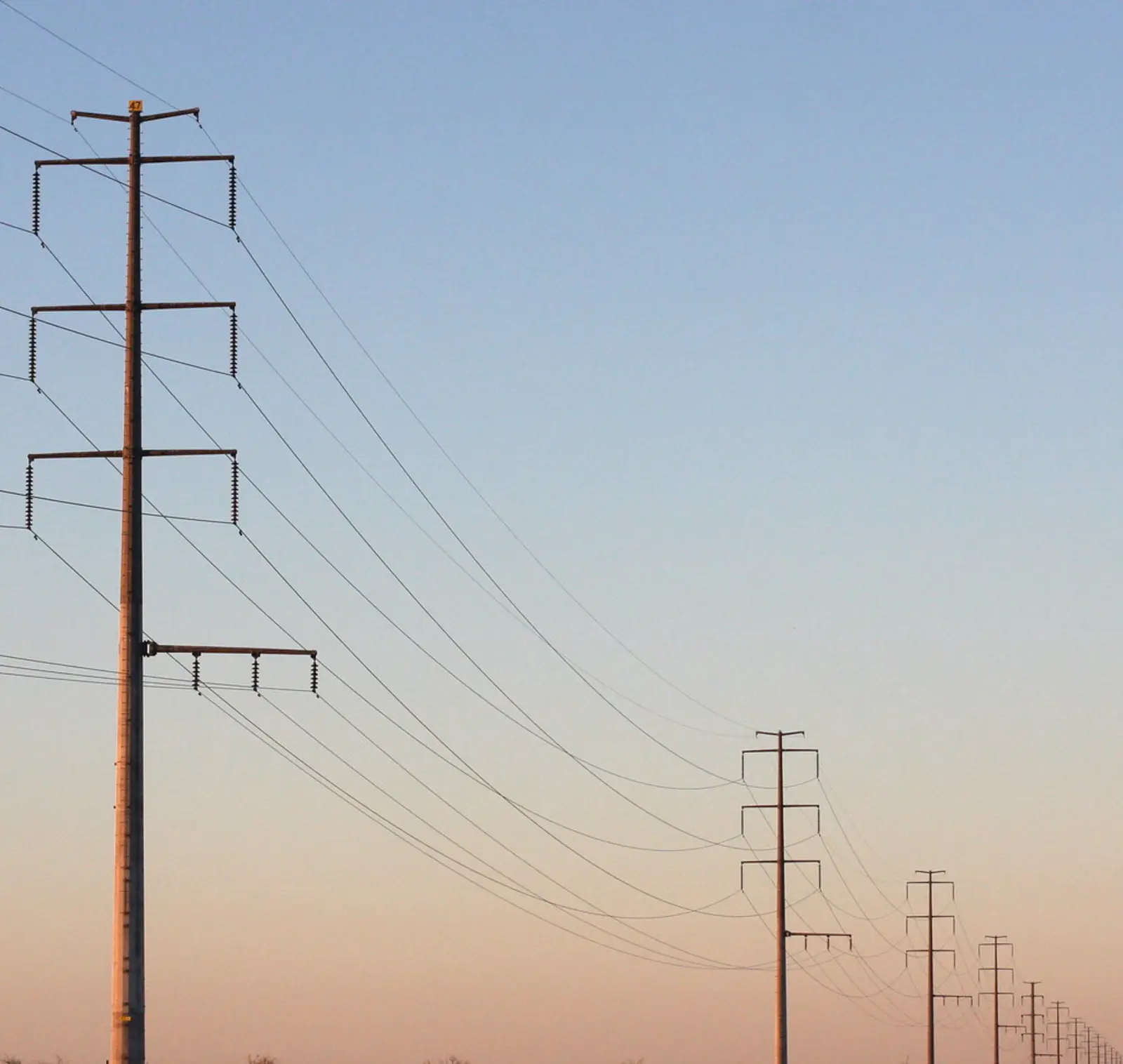 A series of tall utility poles and power lines stretch across a clear sky during twilight. The photographer titled it “Rural electricity”.