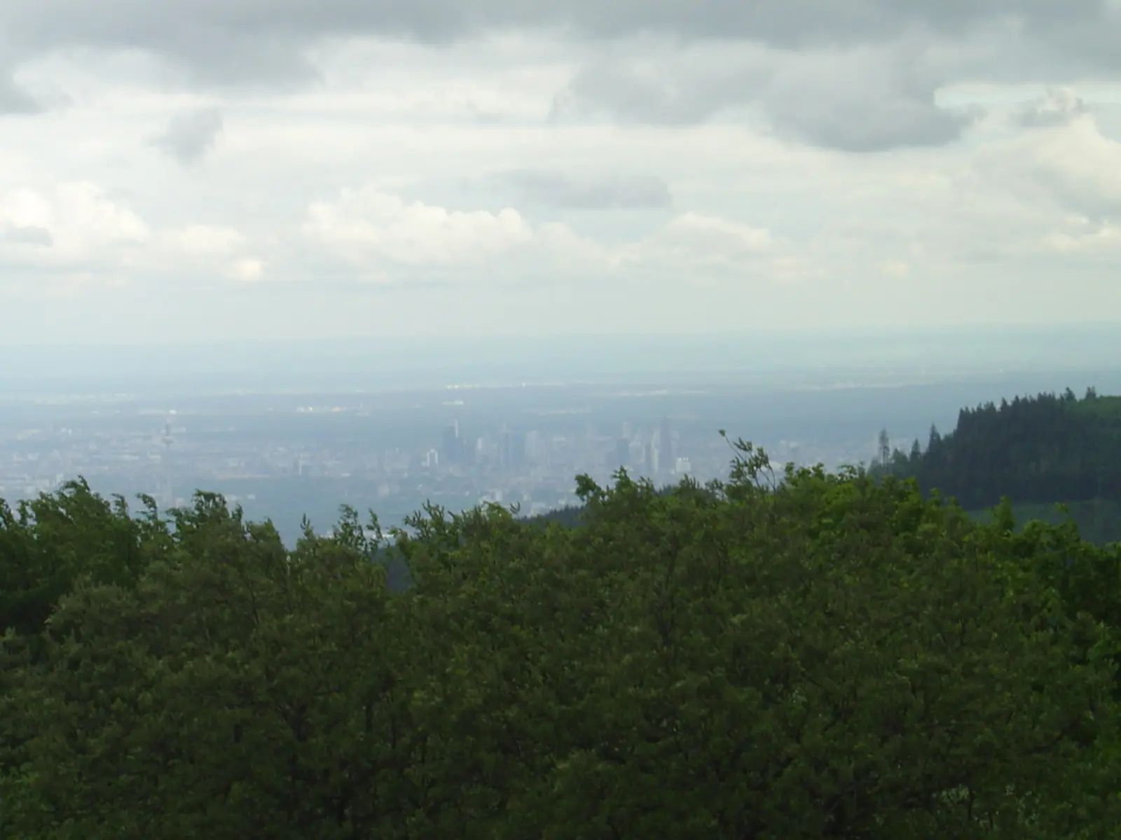 A hazy city skyline is visible in the far distance beyond a foreground of green treetops under a cloudy sky. The photographer titled it “Frankfurt vom Feldberg”.